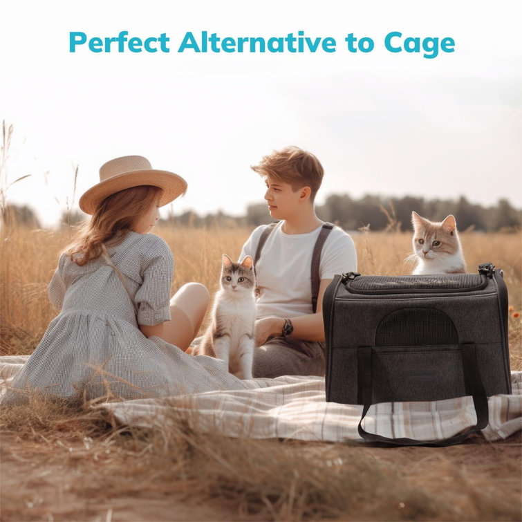 Cat on sale carrier alternative